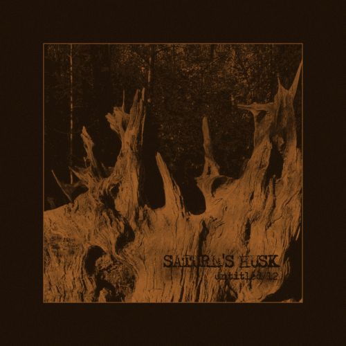 Saturn's Husk : Untitled12